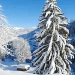 בית נופש Alpenchalet Piz Huesli טשאגונס
