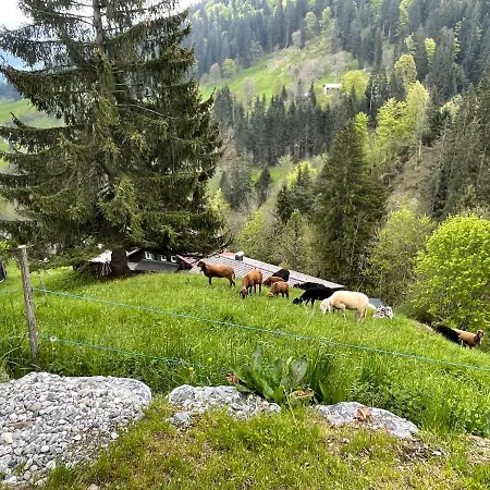 Alpenchalet Piz Huesli Casa de Férias